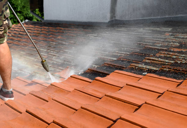Best Garage Pressure Washing  in Stone Park, IL