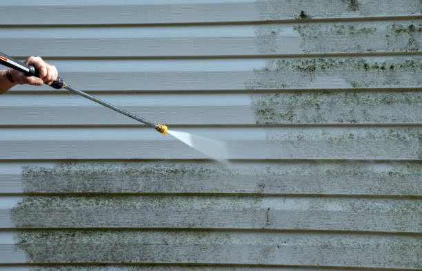 Best Pressure Washing Siding  in Stone Park, IL