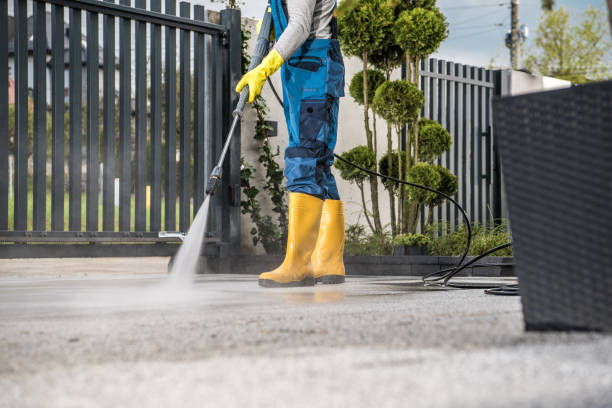Roof Power Washing Services in Stone Park, IL